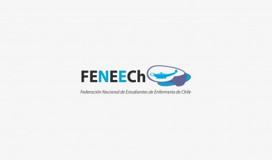 Logo de FEENEECh